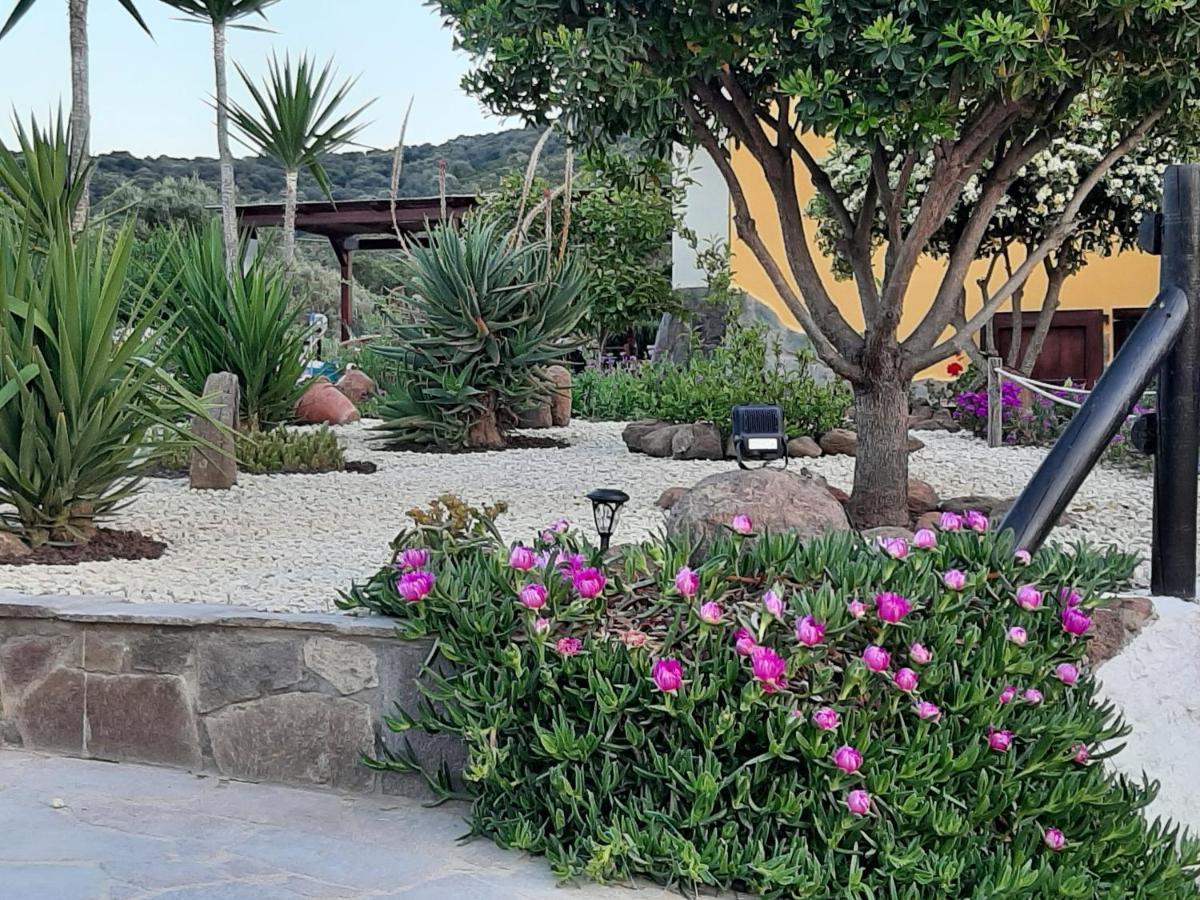 Villa Saige , Piscina Con Idromassaggio Alghero Luaran gambar
