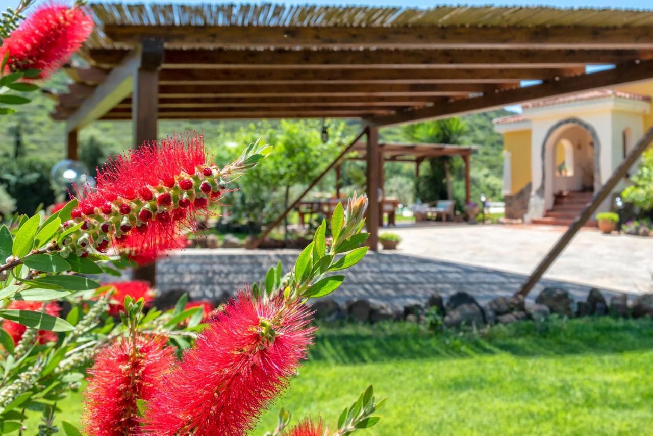 Villa Saige , Piscina Con Idromassaggio Alghero Luaran gambar